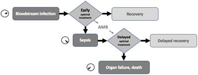 Speaking of sepsis: semantics, syntax, and slang